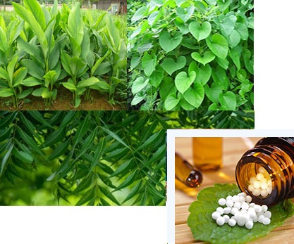 AYUSH Portal